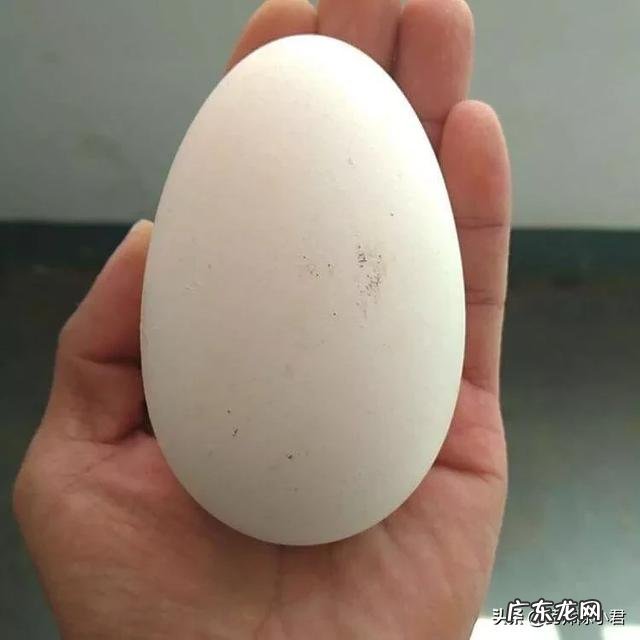 老辈人常说:孕期多吃“鹅蛋”对宝宝好,孕妇吃鹅蛋到底有哪些好处呢?
