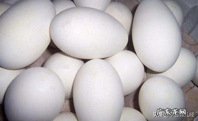 老辈人常说:孕期多吃“鹅蛋”对宝宝好,孕妇吃鹅蛋到底有哪些好处呢?