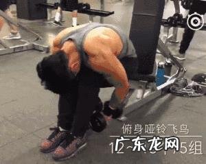 三角肌后束怎么练效果好?