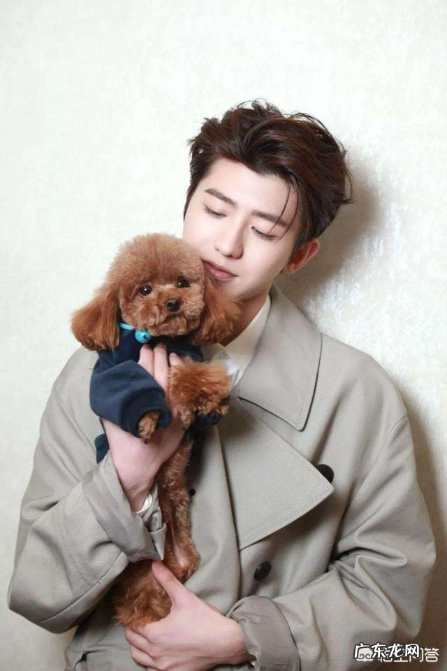 异地恋的成功率有多少？