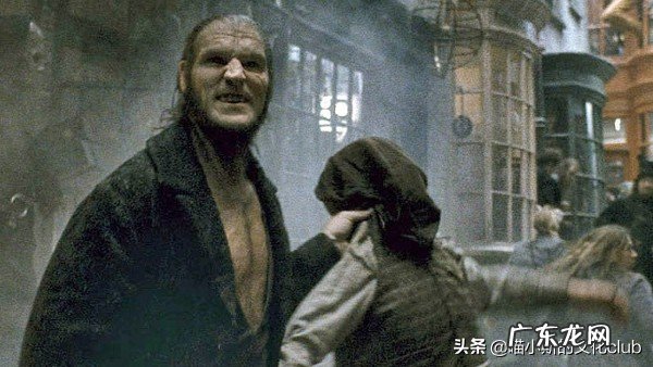 怀念那些已经离我们而去的位哈利波特演员们 哈利波特扮演者是谁