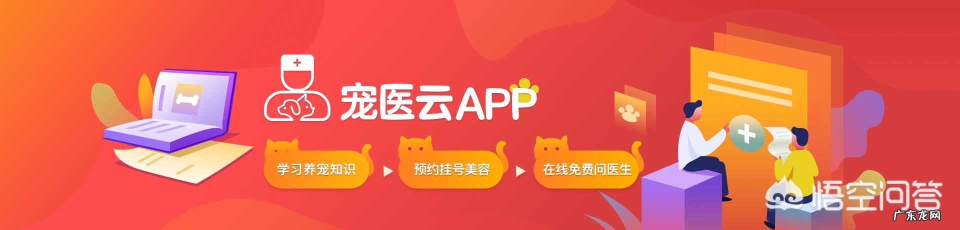 狗狗注射疫苗的正确时间是什么时候？要注意什么？