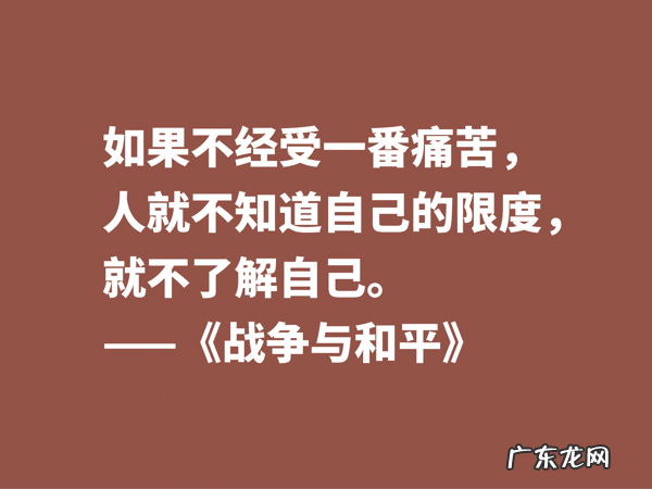 最应该读的书之一,《战争与和平》这十句格言,浓缩全书的精华 有关战争名言