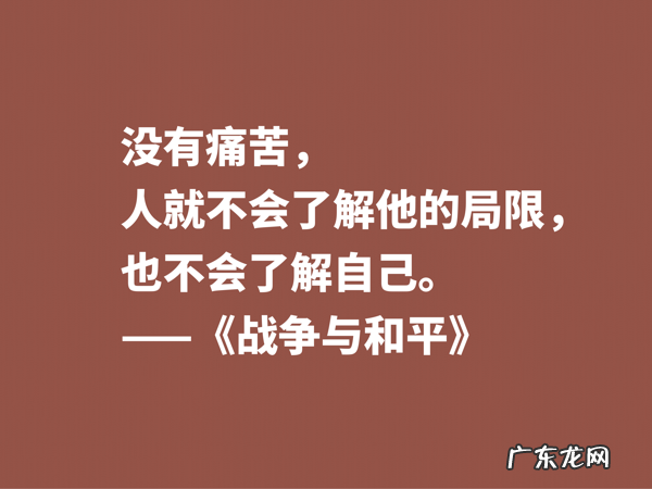 最应该读的书之一,《战争与和平》这十句格言,浓缩全书的精华 有关战争名言