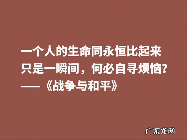 最应该读的书之一,《战争与和平》这十句格言,浓缩全书的精华 有关战争名言
