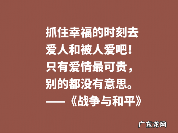 最应该读的书之一,《战争与和平》这十句格言,浓缩全书的精华 有关战争名言