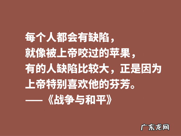 最应该读的书之一,《战争与和平》这十句格言,浓缩全书的精华 有关战争名言