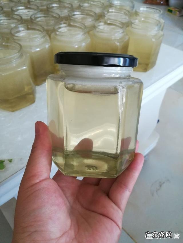 春季,喝什么茶可以排毒养颜?