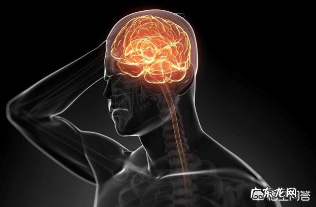 科学家已成功复活了死亡猪脑,是不是将来人类有可能长生不老?