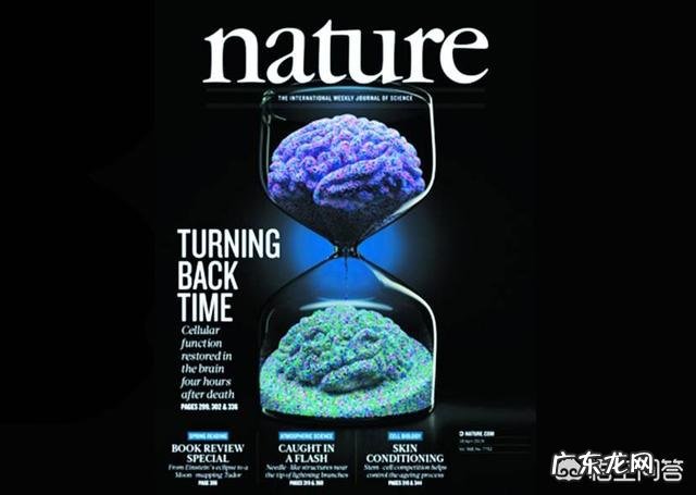 科学家已成功复活了死亡猪脑,是不是将来人类有可能长生不老?