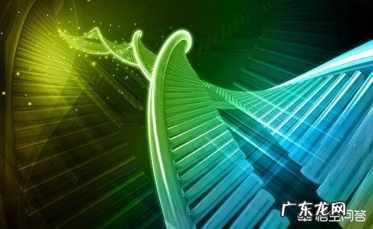 科学家已成功复活了死亡猪脑,是不是将来人类有可能长生不老?