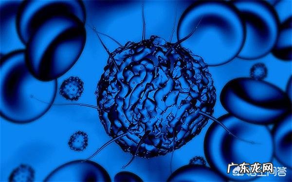 科学家已成功复活了死亡猪脑,是不是将来人类有可能长生不老?