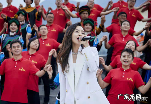 天下谁人不惜君失声三年如今因大风吹翻红的刘惜君经历了什么 刘惜君个人简介哪里人