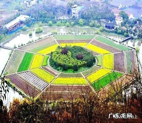 阳台风水煞台长教你植物破 家里阳台种菜影响风水