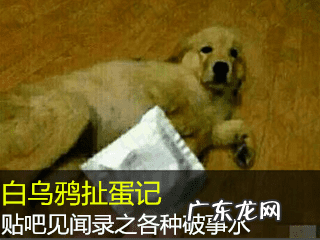 问道加点模拟器 巨剑剑宗加点