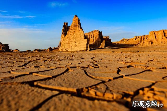 恐龙蛋为啥会形成化石?