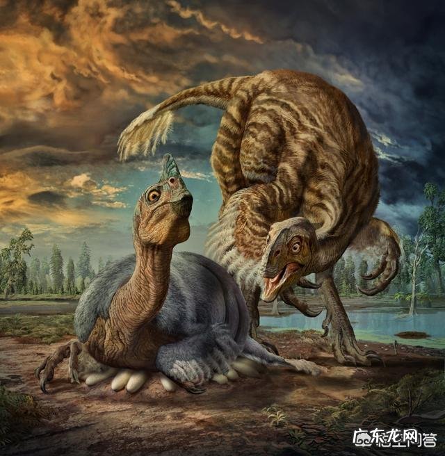 恐龙蛋为啥会形成化石?