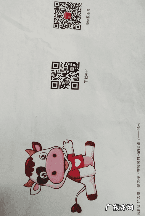 英国牛栏奶粉2段和3段区别 英国牛栏奶粉2段如何