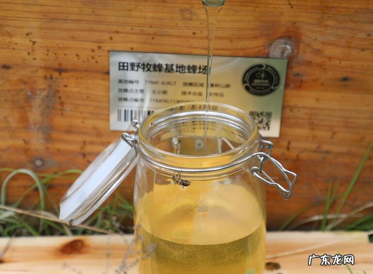 蜂蜜有减肥作用吗 蜂蜜减肥有用吗有效果吗