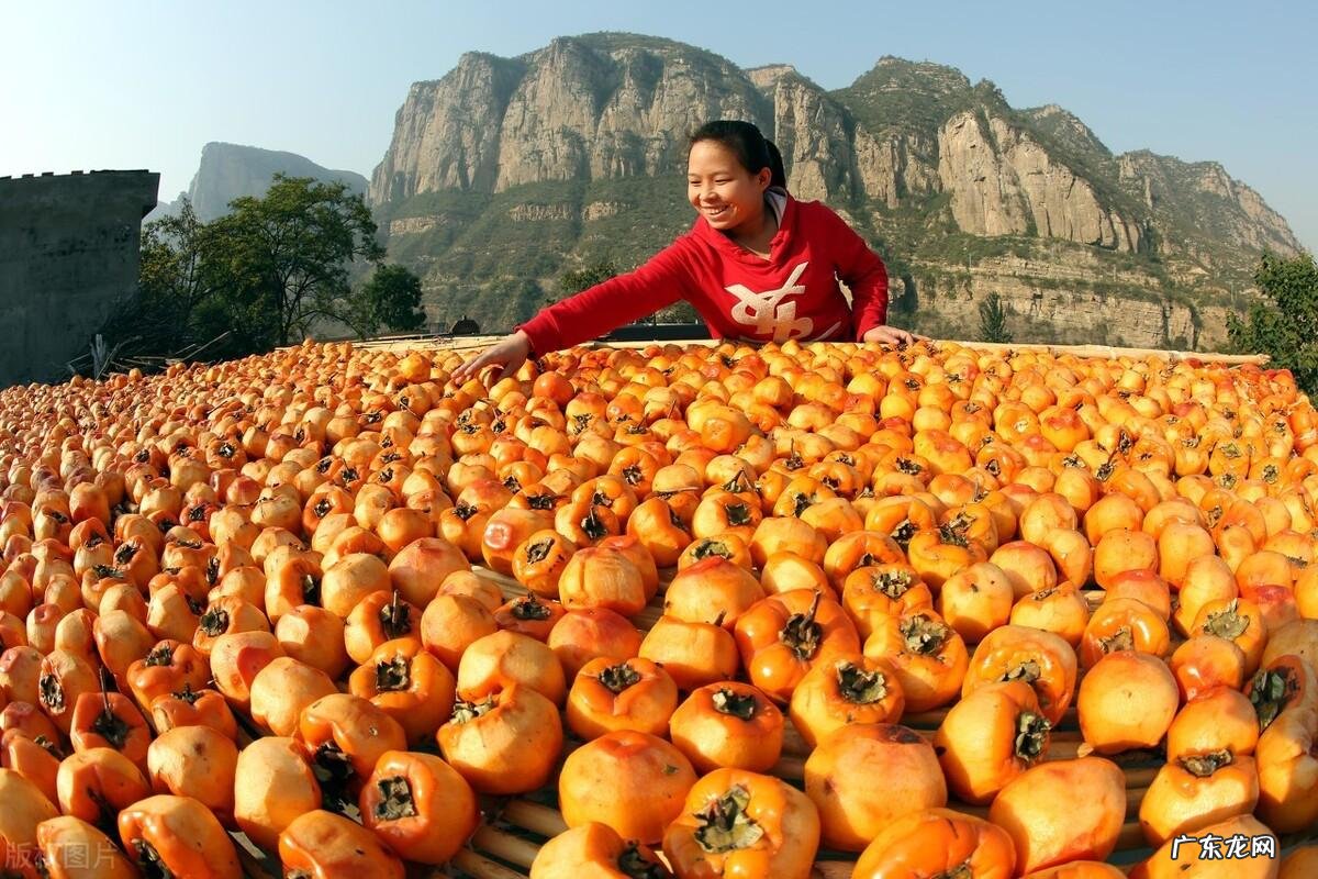 柿饼如何制作 柿饼的制作方法?