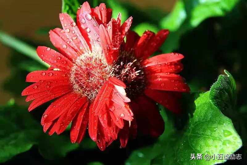 一切尽在不言中 一切尽在不言中是什么意思