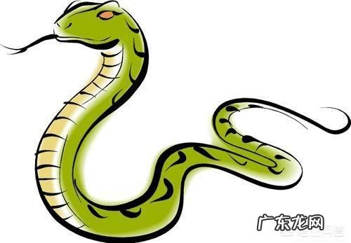 十二生肖的动物各有什么特点,为什么这些动物能成为生肖?