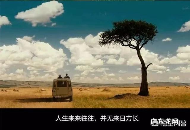 疫情是天灾,是一场悲剧,但疫情也是灯塔,照亮了很多人的新生?