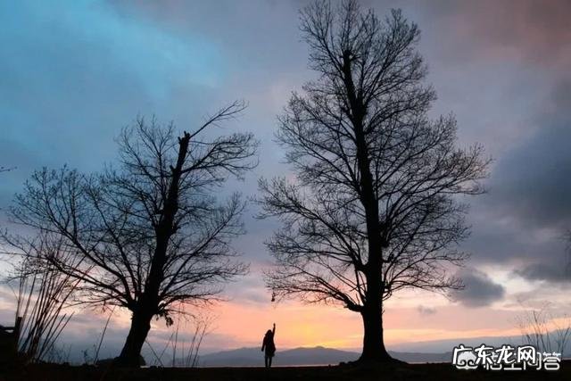 疫情是天灾，是一场悲剧，但疫情也是灯塔，照亮了很多人的新生？