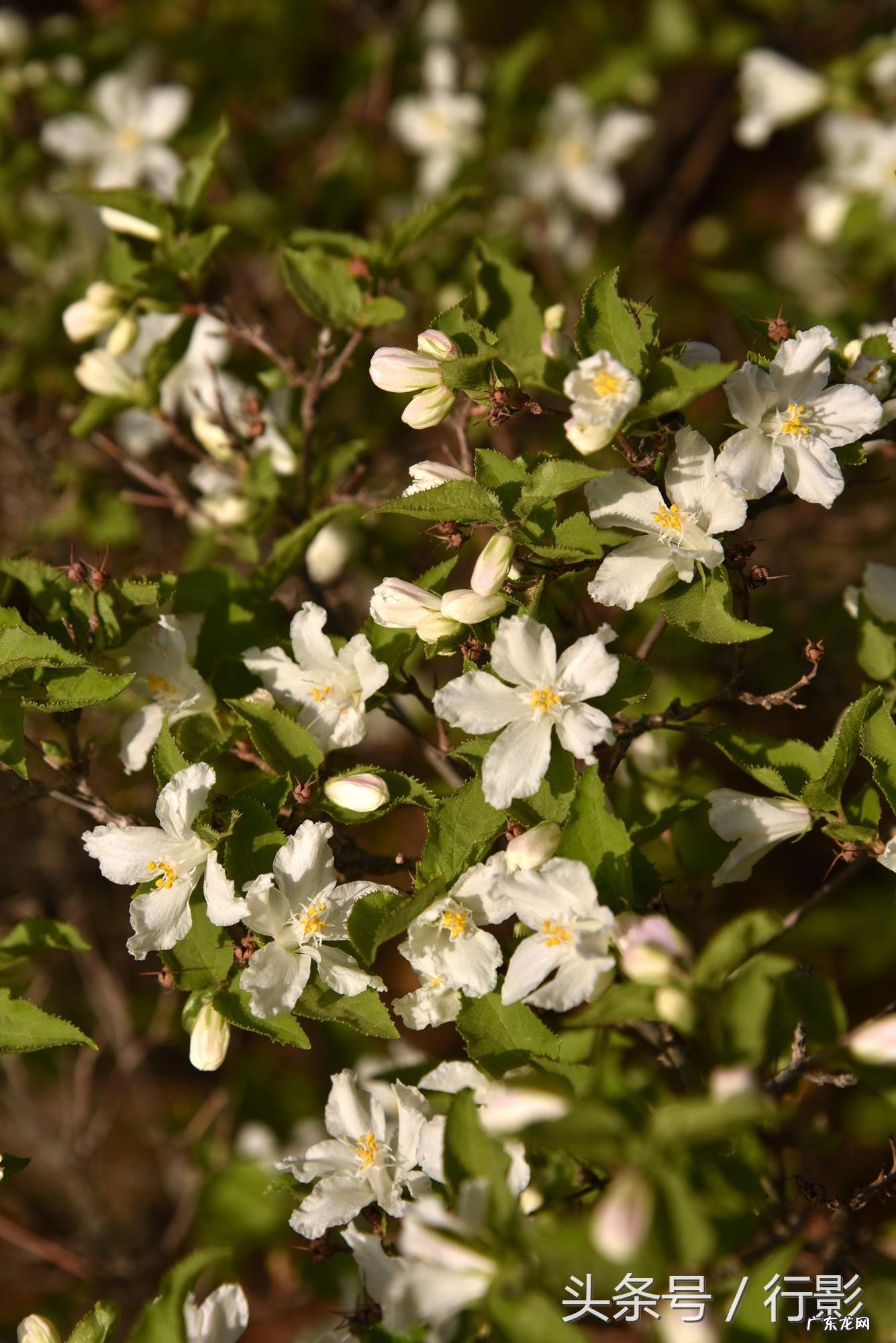 大连大黑山风水