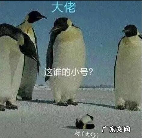 qq点亮铭牌图标 qq游戏图标怎么点亮图标