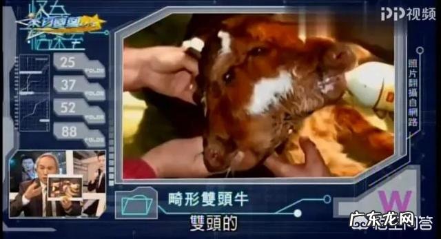 世界上最恐怖的地方在哪里?