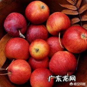 腰两边的赘肉怎么减最快?