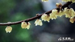 男金牛女巨蟹在婚姻生活中要怎么和谐共处？