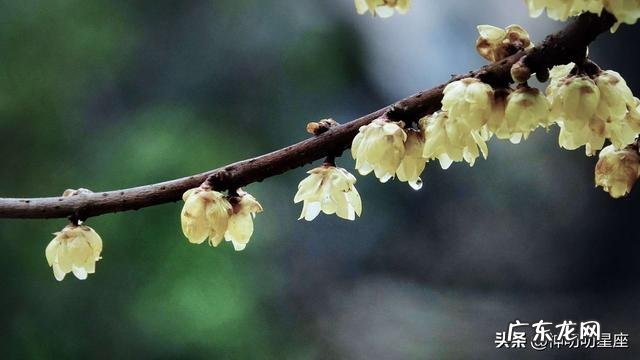 男金牛女巨蟹在婚姻生活中要怎么和谐共处?