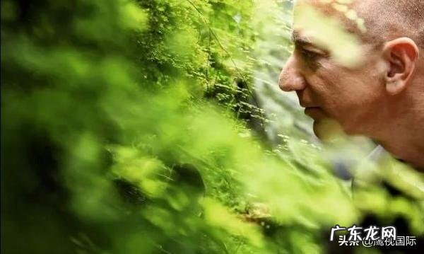 亚马逊雨林连烧三周，各国网友喊话亚马逊CEO贝佐斯前去救火，你怎么看？