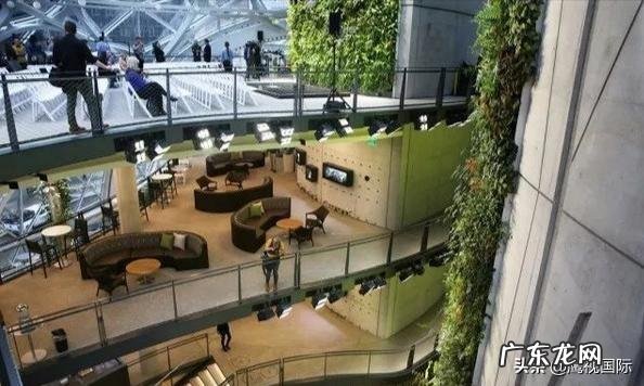 亚马逊雨林连烧三周，各国网友喊话亚马逊CEO贝佐斯前去救火，你怎么看？