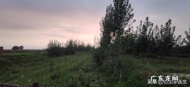 养生最好的运动方式是什么？