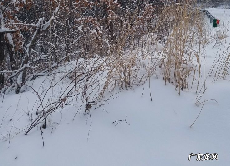 青青的荒野 什么的荒野一个字