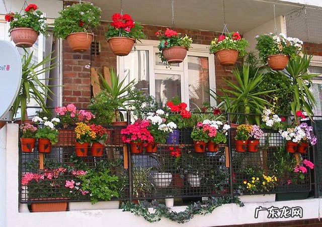 家居布局 风水办公室东南角阳台