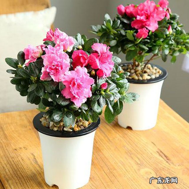 家居布局 风水办公室东南角阳台