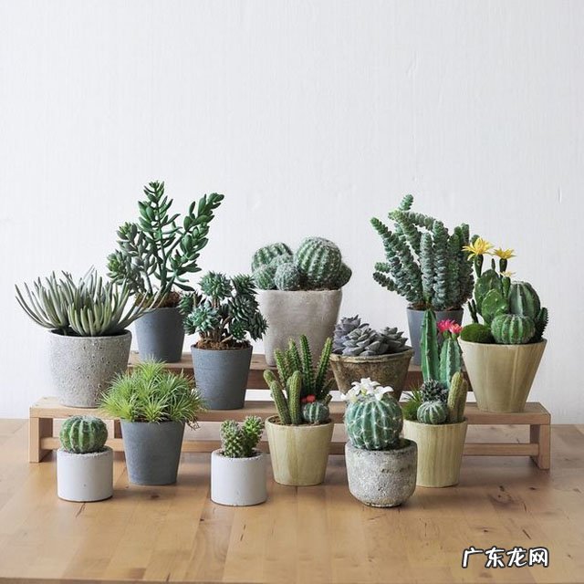 家居布局 风水办公室东南角阳台