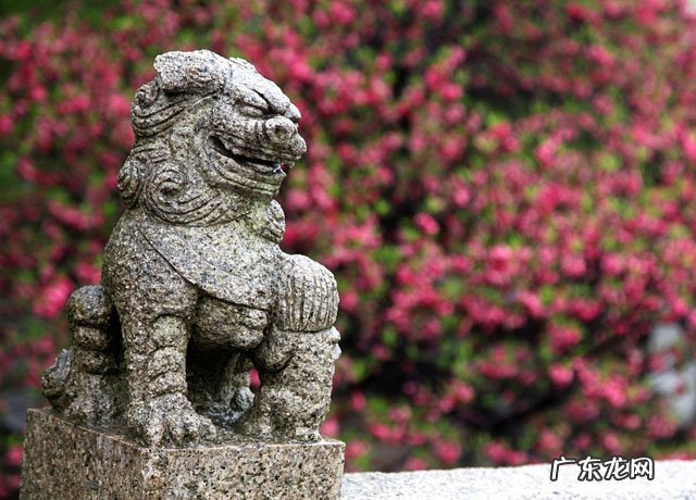 家居布局 风水办公室东南角阳台
