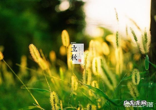 大暑节气马上到来,农村老人常说“大暑热不透,大热在秋后”什么意思?