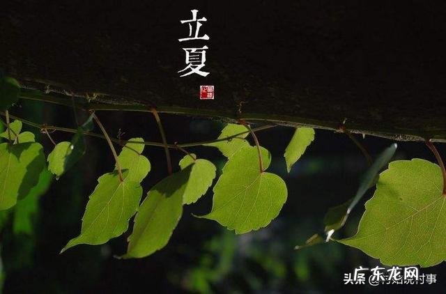 大暑节气马上到来，农村老人常说“大暑热不透，大热在秋后”什么意思？