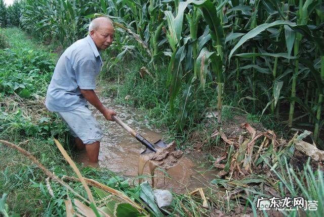 大暑节气马上到来，农村老人常说“大暑热不透，大热在秋后”什么意思？