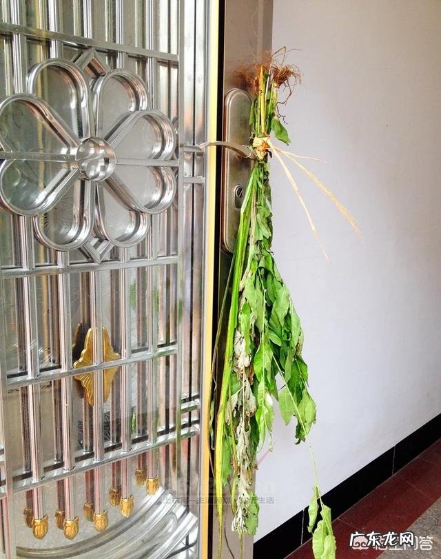 端午节，你们那的活动都有些什么呢？