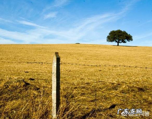 科技不断发展的好处和坏处有哪些?