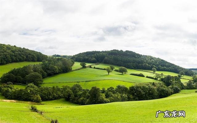 摩羯座的男生什么特点?