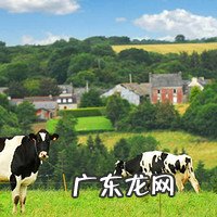 热销商品有哪些 热卖商品