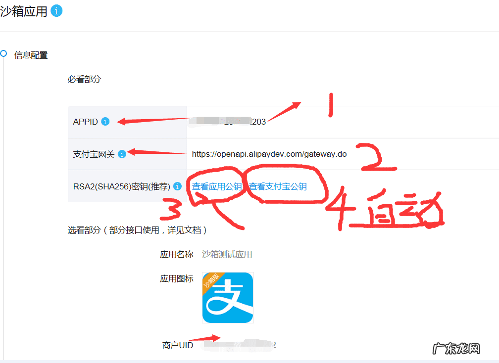 支付宝企业账户注册 怎样申请支付宝账户